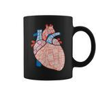 Anatomie Herz Für Kardiologie Doktoren Herz Anatomie Tassen