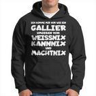 Gallier Weissnix Kannnix Machtnix For Work Colleagues Hoodie