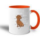 Anatomy Of A Dachshund Badger Dog Tasse Zweifarbig