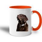 Labrador Retriever Dog Tasse Zweifarbig