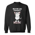 Bevor Du Fragst Nein Katze Ironie Fun Slogan  Sweatshirt
