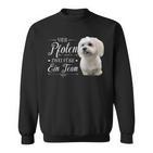 Cute Maltese Dog Graphic Sweatshirt