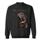 Labrador Retriever Dog Sweatshirt