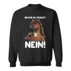Ich Bevor Du Fragst Nein German Language Sweatshirt