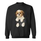 Shih Tzu Puppy In Pocket Sweatshirt