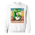 Retro Papasaurusatertag Bester Papa T-Rex Papa Dinosaur Kapuzenjacke Sweatshirt