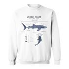 Whale Shark Anatomy Herren Damen Kinder Walhai Sweatshirt