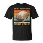 Es Ist Mittwoch Meine Kerle Wednesch Frog Meme T-Shirt