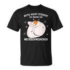 Ich Träumeon Guinea Pigs Sleep Guinea Pig T-Shirt