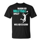 Volleyballer  Idea For Volleyballer T-Shirt