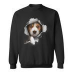 Beagle Sweatshirts