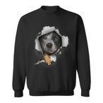 Cattle Dog Sweatshirts