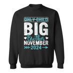 Promoted To Big Brother Sweatshirts