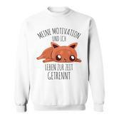 Cute Meine Motivation Und Ich Leben Zur Zeit Getrennt German Sweatshirt