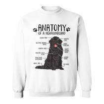 Newfoundland dog merchandise best sale