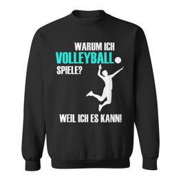 Volleyballer Idea For Volleyballer Sweatshirt - Seseable