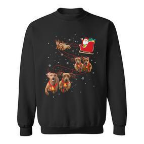 Dachshund Christmas Black Sweatshirt - Seseable De