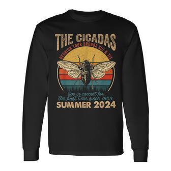 Cicada Brood Xiii Xix Summer 2024 Reunion Tour Vintage Long Sleeve T-Shirt - Monsterry UK