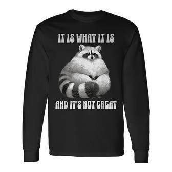 It Is What It Is And Its Not Great Racoon Vintage Meme Long Sleeve T-Shirt - Monsterry UK