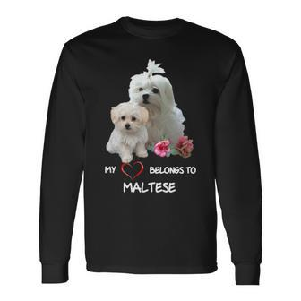 Maltese Dog Heart Belongs Maltese Puppy Long Sleeve T-Shirt | Mazezy