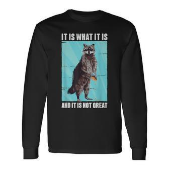 It Is What It Is And It Is Not Great Raccoon Meme Long Sleeve T-Shirt - Monsterry