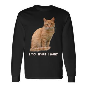 I Do What I Want Orange Tabby Cat Lovers Long Sleeve T-Shirt - Monsterry CA