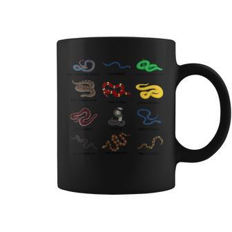Different Types Of Snakes Boys Girl Educational Serpent Coffee Mug | Seseable CA