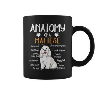 Anatomy Maltese Dog Lover Coffee Mug | Mazezy