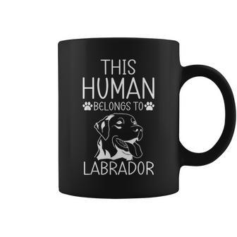 This Human Belongs To Labrador Cute Labrador Lover Women Coffee Mug - Thegiftio UK