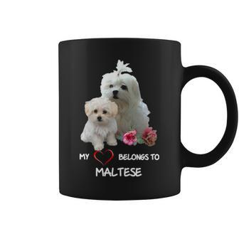 Maltese Dog Heart Belongs Maltese Puppy Coffee Mug | Mazezy