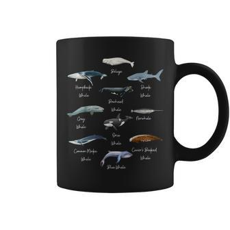Types Of Whales Watercollor Cute Ocean Mammals Guide Coffee Mug - Monsterry DE