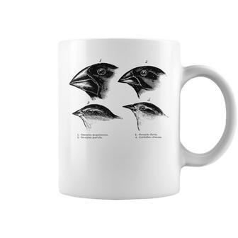 Darwin's Finches Evolución Biología Atea Nerdy Science Taza de café - Regaloses