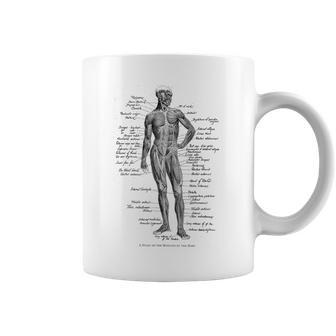 Human Muscle Anatomy Idea Coffee Mug - Monsterry