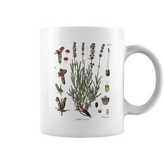 Lavender Botanical Print Lavandula Vera Plant Illustration Coffee Mug - Monsterry UK
