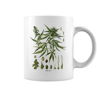Vintage Cannabis Botanical Chart Antique Hemp Marijuana Weed Coffee Mug - Monsterry DE