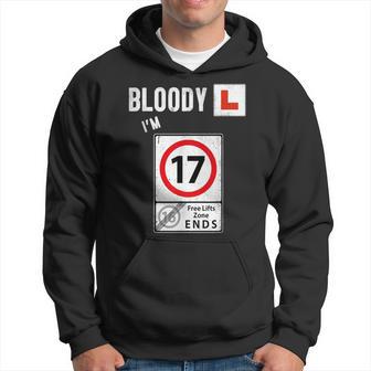 17Th Birthday Learner Driver & Im A Learner Driver Hoodie - Thegiftio UK