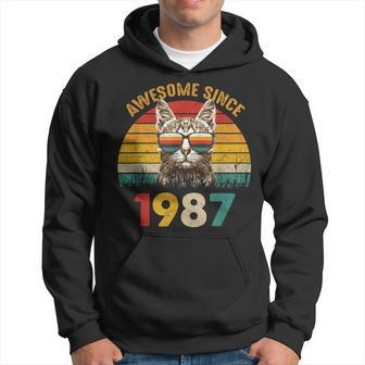 37Th Birthday Cat Lover 37 Year Vintage Awesome Since 1987 Hoodie - Thegiftio UK