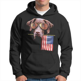 4Th Of July Fun American Flag Chocolate Labrador Dog Lover Gif Hoodie | Mazezy