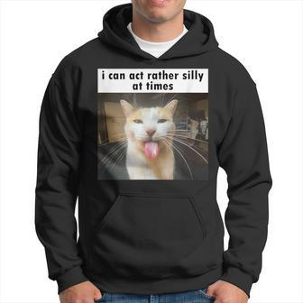 I Can Act Rather Silly At Times Silly Cat Meme Hoodie - Monsterry CA