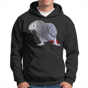 African Grey Parrot Bird Hoodie - Monsterry