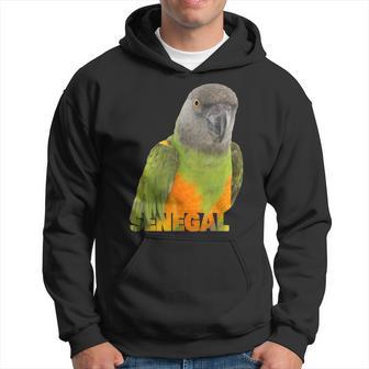 African Senegal Parrot Image & Word Hoodie - Monsterry DE