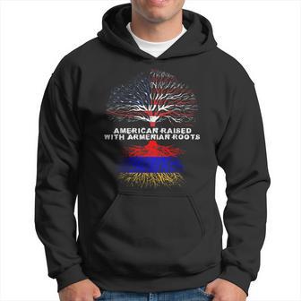 American Raised With Armenian Roots Armenia Hoodie - Monsterry CA