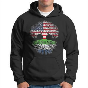 American Raised With Sierra Leonean Roots Usa Flag Hoodie - Monsterry