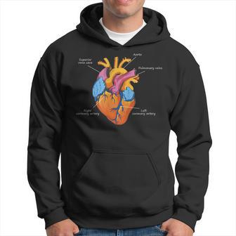 Anatomy Of The Heart In Pastel Colours Cardiology Medicine Hoodie - Thegiftio UK