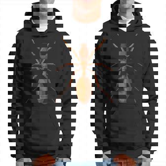 Ant Ant Costume Hoodie | Mazezy