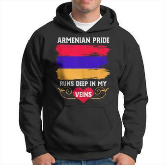 Armenian Pride Runs Deep In My Veins Armenian Roots Hoodie - Monsterry DE
