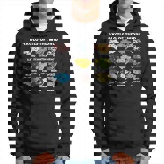 Axolotls Of The World Sweet Animals Kawaii Axolotl Hoodie - Thegiftio