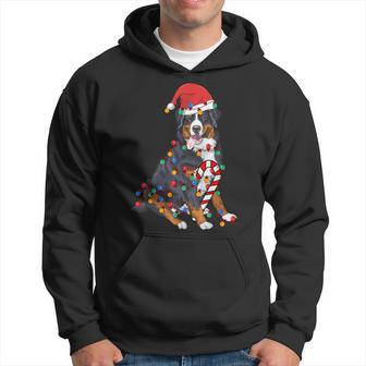 Bernese Mountain Santa Christmas Lights Dog Lover Pajama Hoodie - Thegiftio UK