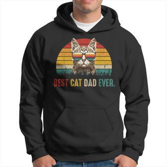 Best Cat Dad Ever Fathers Day Vintage Cat Daddy Hoodie - Monsterry AU