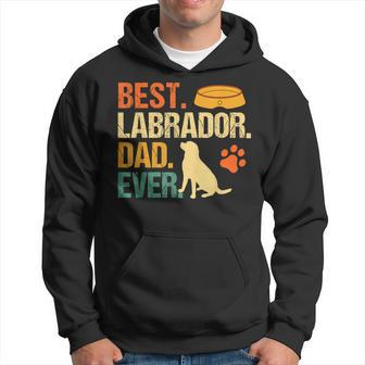 Best Labrador Dad Ever Fathers Day Retriever Dog Lover Hoodie - Monsterry AU